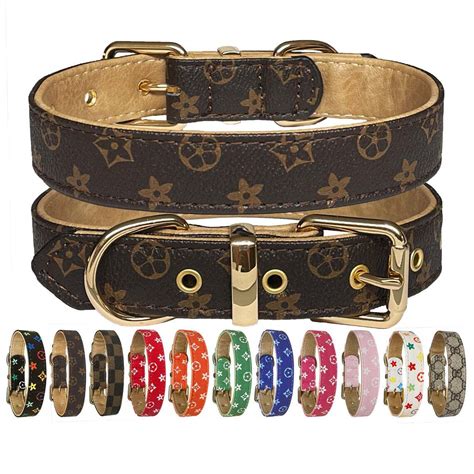 designer dog collars and leash.